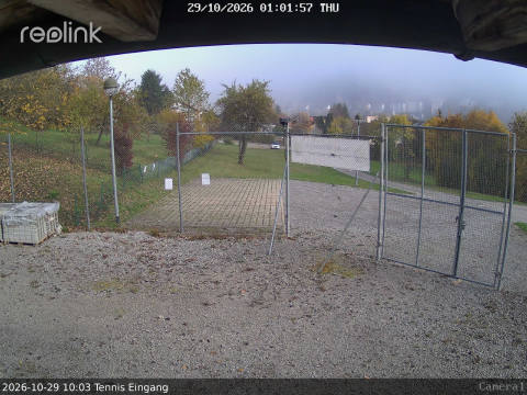 Webcam Eingang / Parkplatz
